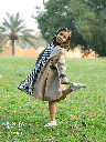 Check print dress with jacket (613)