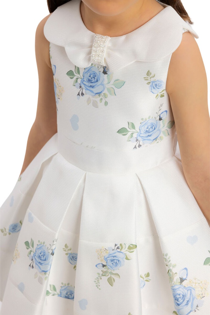 34238PR Dress