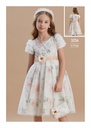 3234 Occasions Dress