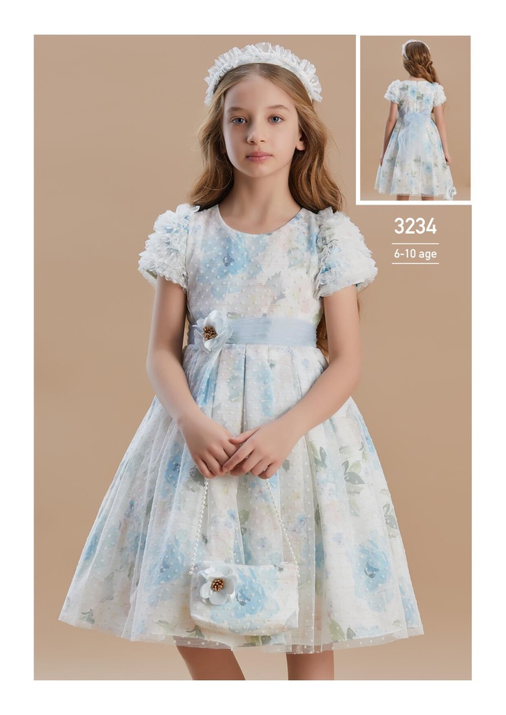 3234 Occasions Dress