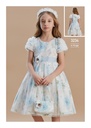 3234 Occasions Dress