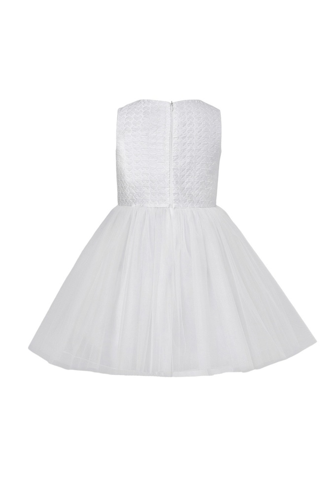 34381-PAMINA