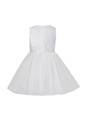 34381-PAMINA
