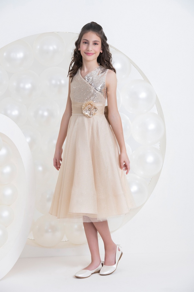 Occasion Dress (30099PR)