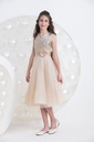 Occasion Dress (30099PR)