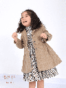 Short coat with dress (2831)