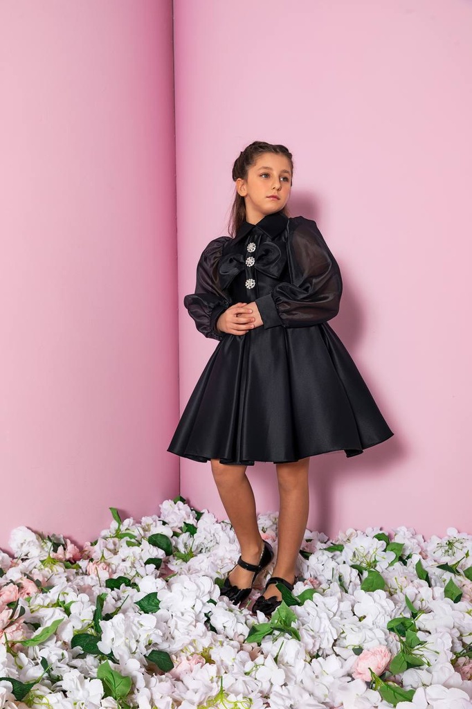 25630 Pixina Dress