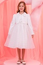 35349-PAMINA