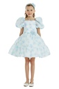 New Dress for Occasion