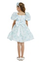 New Dress for Occasion