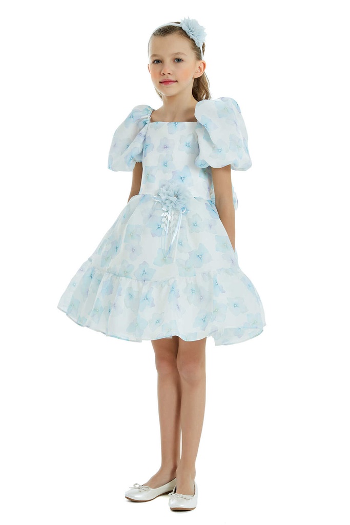 New Dress for Occasion