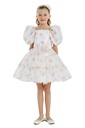 New Dress for Occasion