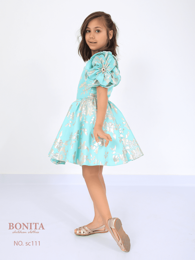 Beautiful floral embroidered dress (SC111)