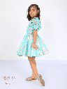 Beautiful floral embroidered dress (SC111)