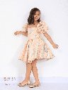 Beautiful floral embroidered dress (SC111)