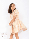 Beautiful floral embroidered dress (SC111)