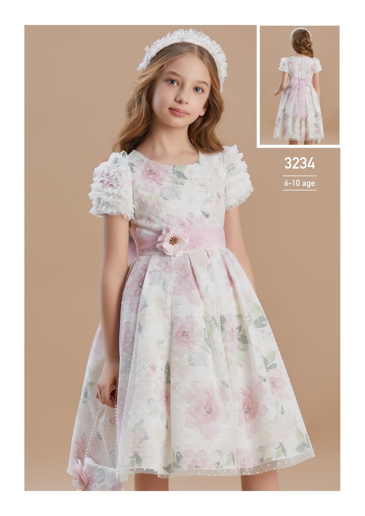3234 Occasions Dress