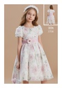 3234 Occasions Dress