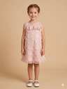 36009-PAMINA